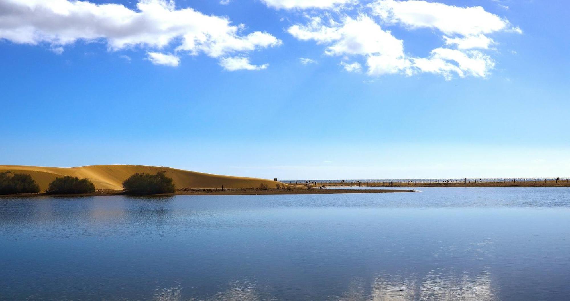 Dunaoasis Maspalomas มาสปาโลมาส ภายนอก รูปภาพ